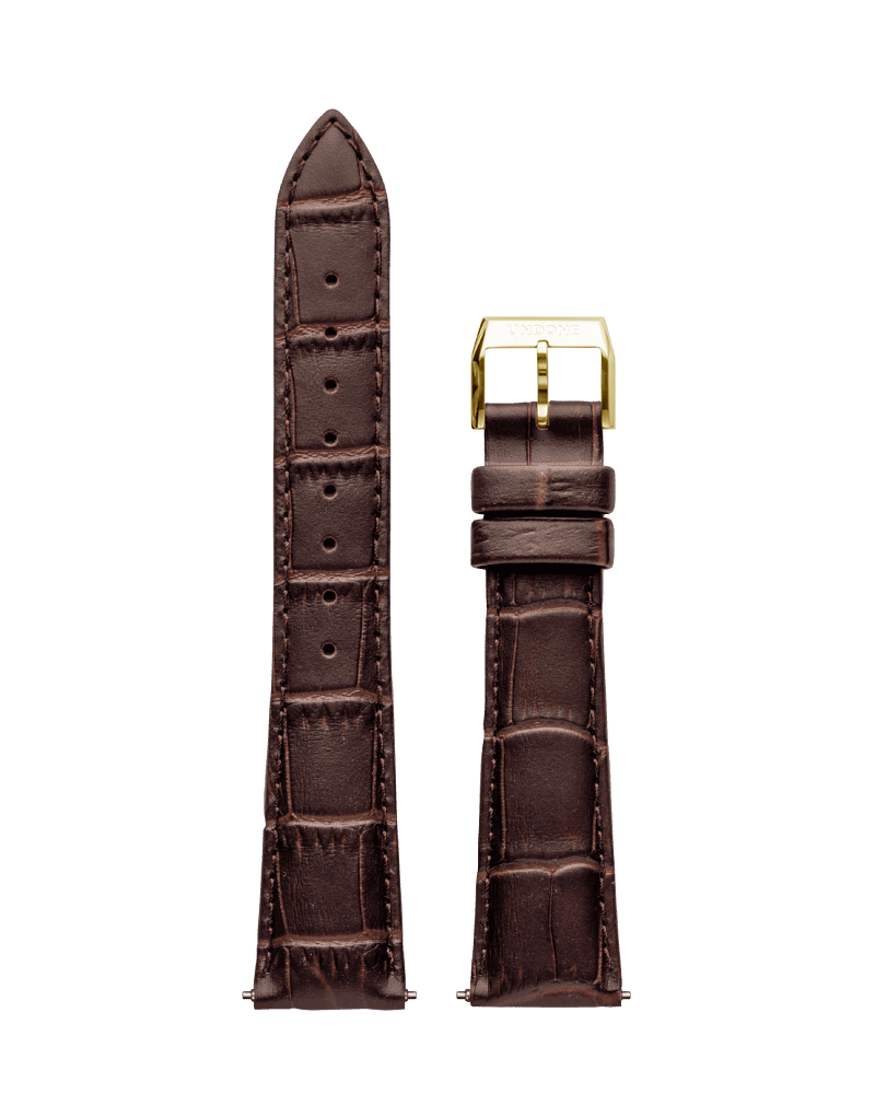 Alligator Brown