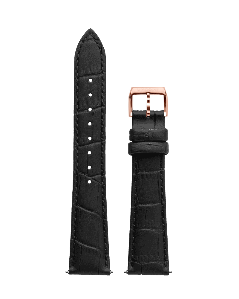 Alligator Black