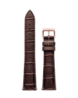Alligator Brown