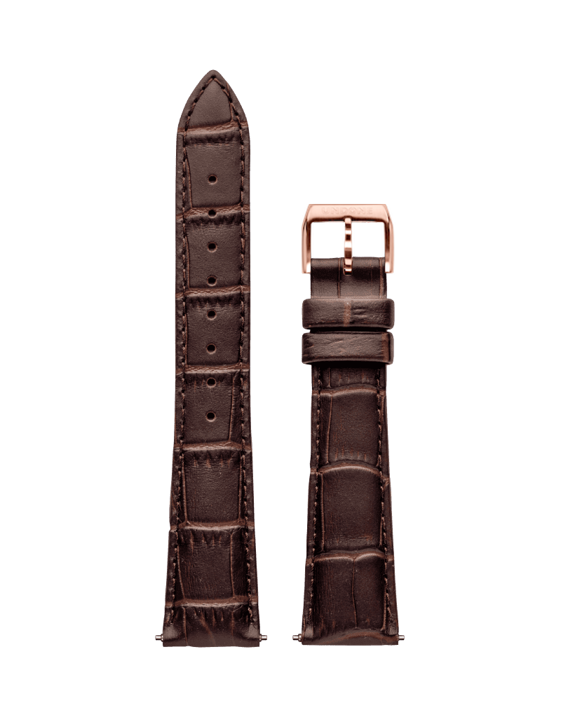 Alligator Brown