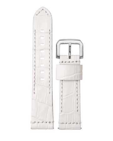 Alligator White