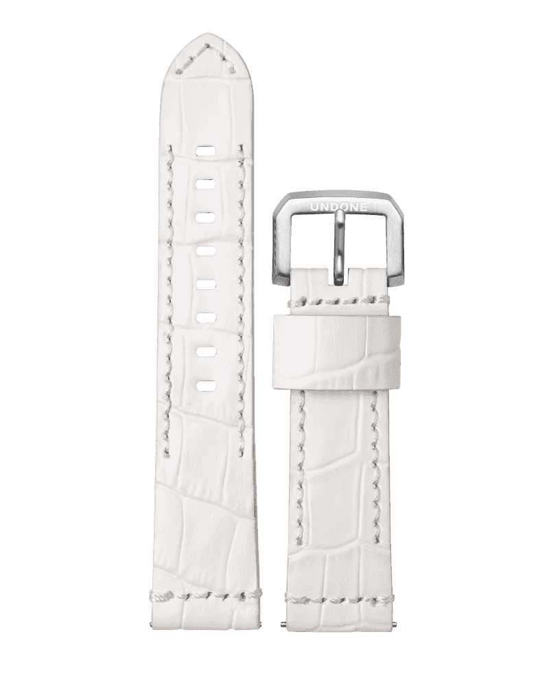 Alligator White