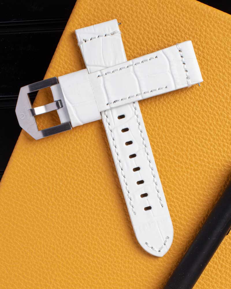 Alligator White