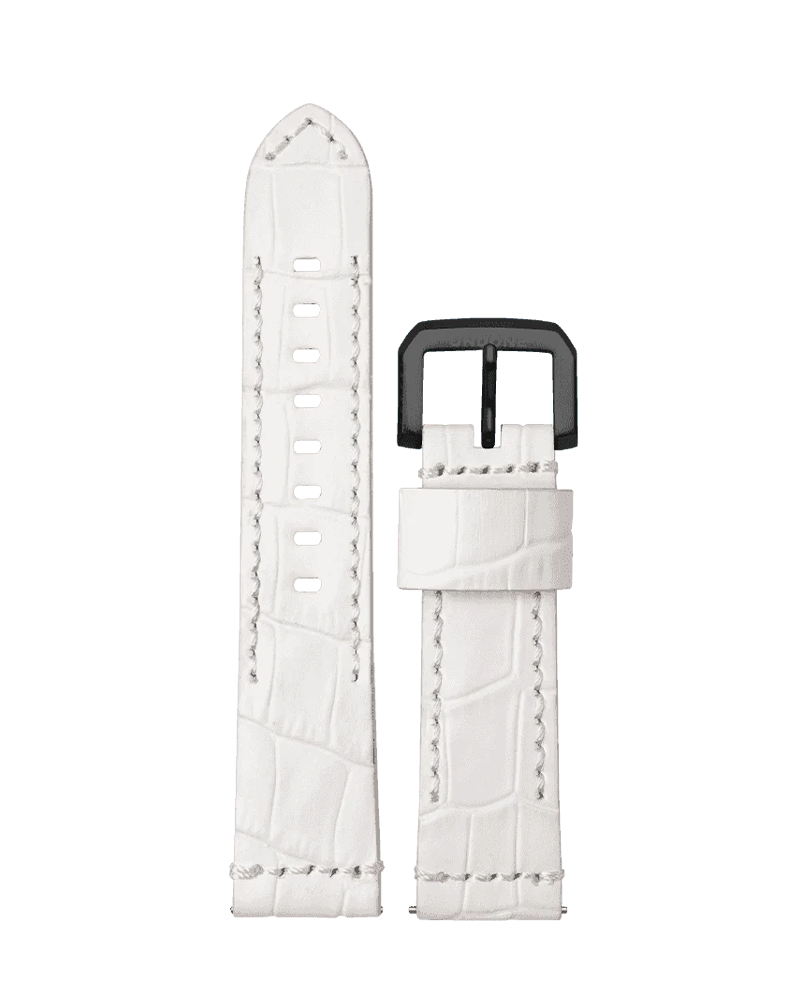 Alligator White