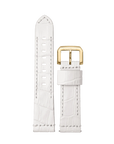 Alligator White