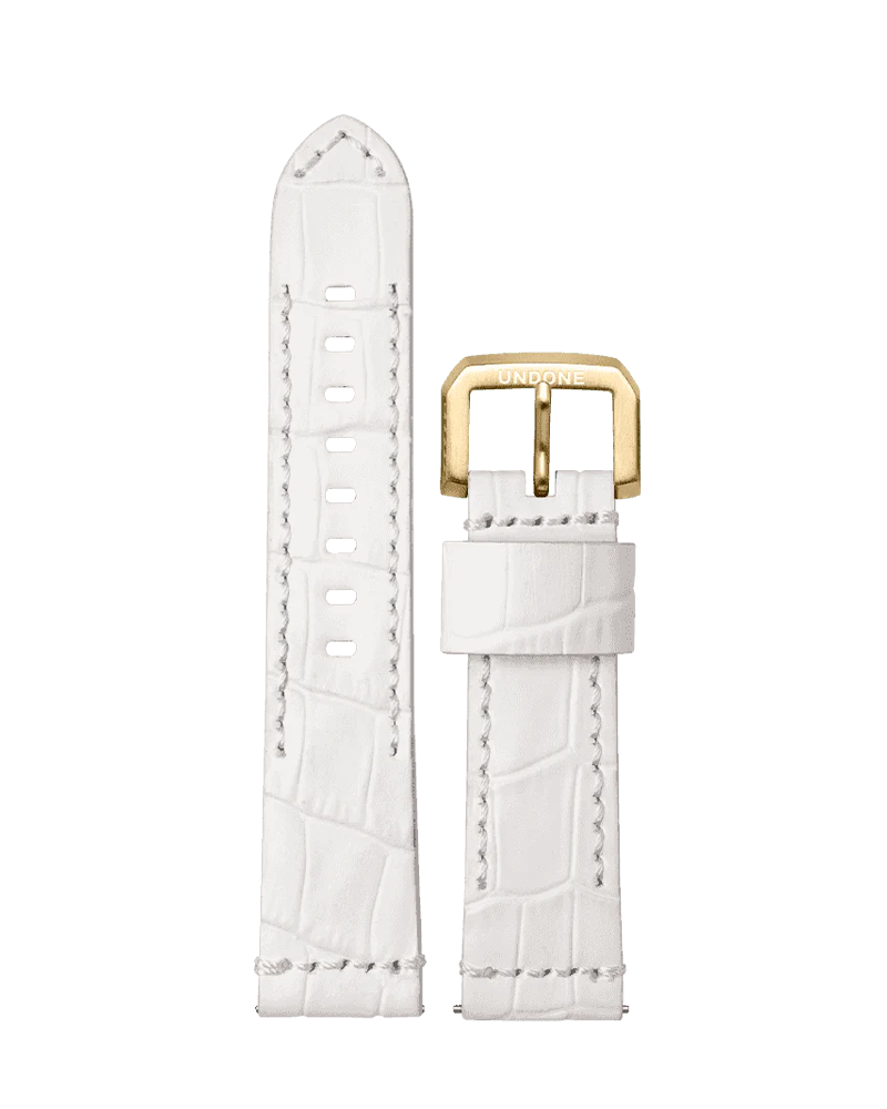 Alligator White
