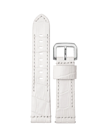 Alligator White