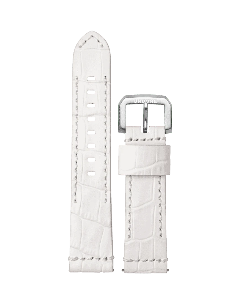 Alligator White